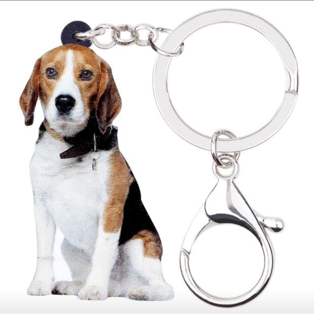 乐天商城 - 【メール便送料無料】ビーグル キーホルダー ビーグルグッズ アクリル 犬 いぬ イヌ dog 犬種別 犬雑貨 オーナーグッズ かわいい 輸入 キーチェーン プリント 母の日