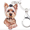 【メール便送料無料】キーホルダー ヨークシャーテリア ヨークシャーテリア ヨーキーグッズ アクリル 犬 いぬ イヌ dog 犬種別 犬雑貨 オーナーグッズ かわ...