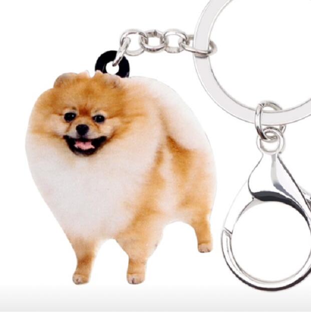 樂天商城 - 【メール便送料無料】ポメラニアン キーホルダー ポメグッズ アクリル 犬 いぬ イヌ dog 犬種別 犬雑貨 オーナーグッズ かわいい 輸入 キーチェーン プリント 母の日