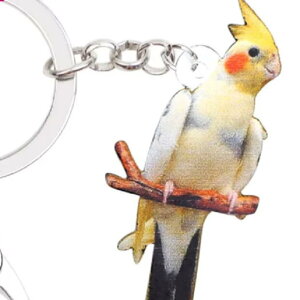 【期間限定P2倍】【メール便送料無料】キーホルダー オカメインコ オカメグッズ アクリル ことり トリ とり 鳥 バード bird 鳥雑貨 オーナーグッズ かわいい 輸入 キーチェーン プリント 母の日