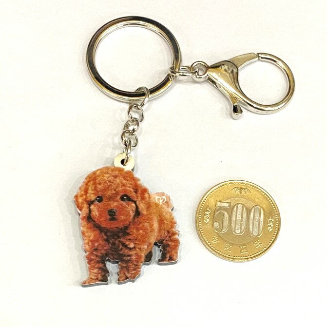 ڥ᡼̵ۥסɥ ۥסɥ륰å     dog   ѥԡ ʡå 襤...