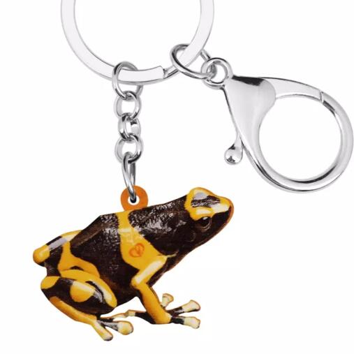 樂天商城 - 【メール便送料無料】ヤドクガエル カエル かえる 蛙 フロッグ キーホルダー 両生類グッズ アクリル カエル雑貨 オーナーグッズ かわいい 輸入 キーチェーン プリント 鍵 車