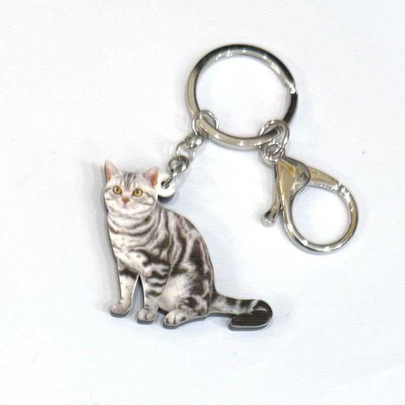 乐天商城 - 猫 キャット キーホルダー 送料無料 ギフトラッピング無料 タビーキャット 猫グッズ アクリル ねこ ネコ cat 仔猫 子猫 アニマル雑貨 オーナーグッズ かわいい ポイント消化 輸入 キーチェーン プリント 誕生日 クリスマス