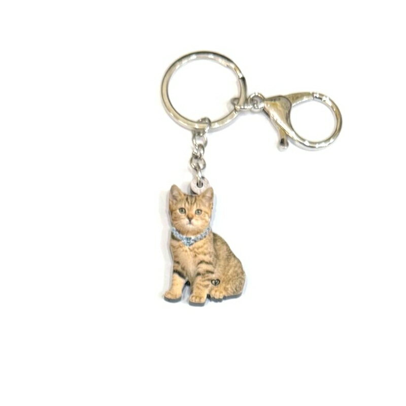乐天商城 - 猫 キャット キーホルダー 送料無料 ギフトラッピング無料 猫グッズ アクリル ねこ ネコ cat 仔猫 子猫 アニマル雑貨 オーナーグッズ かわいい ポイント消化 輸入 キーチェーン プリント 誕生日 クリスマス