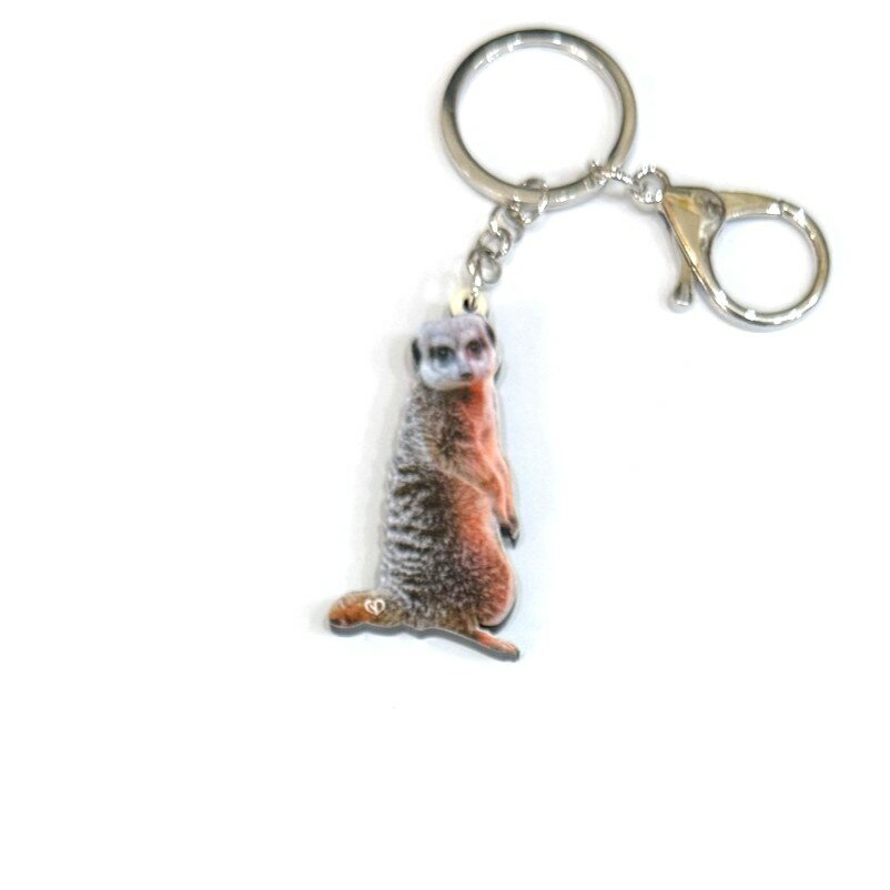 乐天商城 - 【送料無料】 ミーアキャット キーホルダー アクリルキーホルダー アクキー バッグチャーム キーリング 送料無料 ニマル 動物 グッズ 雑貨 リアル 写真 直立 立ち姿 片面プリント かわいい おもしろ プレゼント プチギフト 車 鍵 ポイント消化 トラストワンポイント