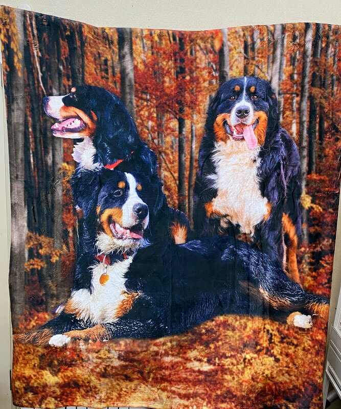 バーニーズマウンテンドッグ ひざ掛け ブランケット 犬 dog DOG 大型犬 フルプリント プリント 大判 暖かい かわいい ふわふわ ベッドカバー アウトドア ソファーカバー バーニーズグッズ 輸入 横幅127cm　長さ152cm 2
