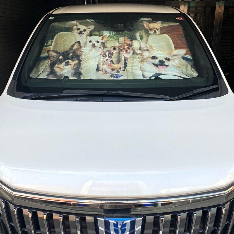 ������̵���� �ե����֥�ɥå� �ե�֥� AA ���� �� ���� dog DOG ���� ���󥷥����� ���� ���� ���襤�� �� �������褱 ������ ���Ƥ��ɻ� �ե���ȥ��饹 �׸���Ǯ �糰���к� UV���å� �ޤ���߼� ������ �뤵�к� ������ �������� ���� �����ʡ����å�