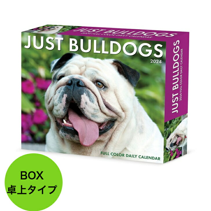 ブルドッグ【卓上/日めくり】 BOX カレンダー 2024年 令和6年 暦 動物 ペットカレンダー 日めくりカレンダー 犬種カレンダー 犬 ドッグ dog 輸入 かわいい ウィロークリーク 卓上カレンダー プレゼント 誕生日 クリスマス