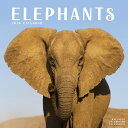 カレンダー ゾウ エレファント 【レギュラーサイズ/壁掛け】 2026年 令和8年 暦 象 アフリカゾウ 野生動物 動物 ペットカレンダー 月めくり 輸入 SDGs 海外版 かわいい 中綴じ エーボンサイド スクエアタイプ クリスマス プレゼント 誕生日