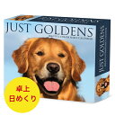 日めくりカレンダー ゴールデンレトリバー 【卓上/日めくり】BOX 2026年 令和8年 暦 ゴールデンレトリーバー パピー 動物 ペットカレンダー 犬種別カレンダー 犬 ドッグ dog SDG’s 輸入 かわいい ウィロークリーク 卓上カレンダー プレゼントクリスマス