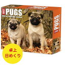 日めくりカレンダー パグ 【卓上/日めくり】BOX 2026年 令和8年 暦 パピー 動物 ペットカレンダー 犬種別カレンダー 犬 ドッグ dog SDG’s 輸入 かわいい ウィロークリーク 卓上カレンダー プレゼントクリスマス