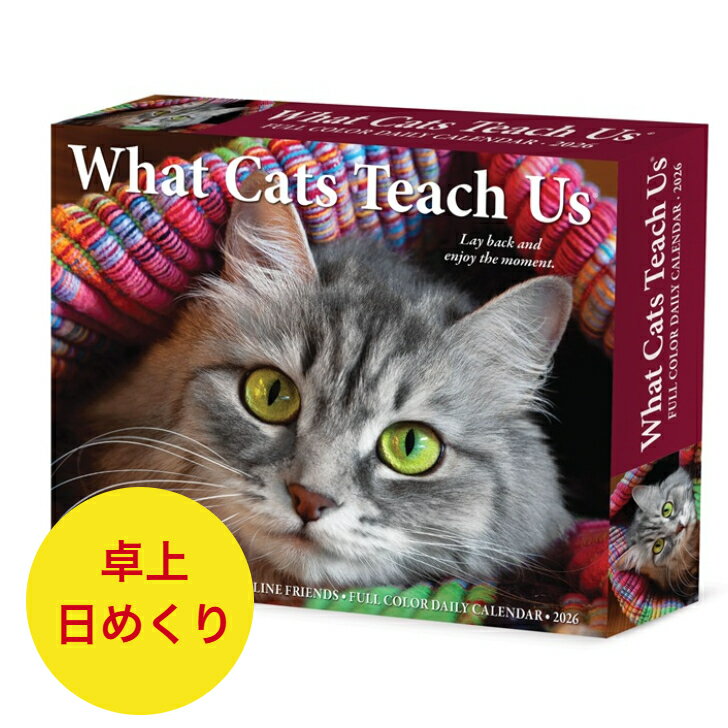 日めくりカレンダー カレンダー 猫が教えてくれる事 【卓上/日めくり】BOX 2026年 令和8年 暦 猫 ネコ ねこ キャット cat CAT キトン キティ...