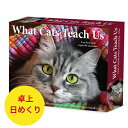 カレンダー 猫が教えてくれる事 【卓上/日めくり】BOX 2026年 令和8年 暦 猫 ネコ ねこ キャット cat CAT キトン キティー 動物 ペットカレンダー SDG’s 輸入 かわいい デスクカレンダー ウィロークリーク 卓上カレンダー プレゼント クリスマス