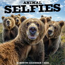カレンダー アニマルセルフィー 【レギュラーサイズ/壁掛け】 2026年 令和8年 暦 自撮り 野生動物 WILD LIFE ペットカレンダー 月めくり 輸入 SDGs 海外版 かわいい 中綴じ ウィロークリーク スクエアタイプ プレゼント 誕生日 クリスマス