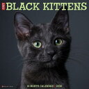 カレンダーブラックキャット キトン 【レギュラーサイズ/壁掛け】 2026年 令和8年 暦 クロネコ 黒猫 猫 ネコ ねこ cat 動物 ペットカレンダー 猫カ...