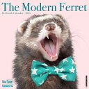 カレンダー フェレット No2 【レギュラーサイズ/壁掛け】 2026年 令和8年 暦 イタチ 小動物 動物 ペットカレンダー 月めくり 輸入 SDGs かわいい 中綴じ ウイロークリーク スクエアタイプ クリスマス 誕生日 プレゼント ギフト