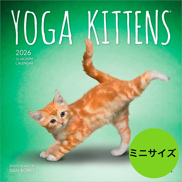 ★【送料無料】カレンダー ヨガキトン ヨガ 仔猫 子猫 【ミニサイズ/壁掛け】 カレンダー 2026年 令和8年 動物 暦 猫 ネコ ねこ cat CAT ペッ...