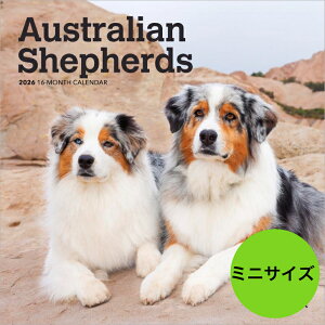 カレンダー 【送料無料】オーストラリアンシェパード オーシー 【ミニサイズ/壁掛け】 2026年 令和8年 動物 暦 動物 ペットカレンダー 犬種カレンダー 犬 いぬ ドッグ dog 月めくり 輸入 かわいい 中綴じ ブラウントラウト プレゼント 誕生日 クリスマス