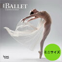 【送料無料】バレエ バレリーナ【ミニサイズ/壁掛け】 カレンダー 2026年 令和8年 アーティスト 舞踊劇 月めくり 輸入 SDGs かわいい 中綴じ ブラウ...