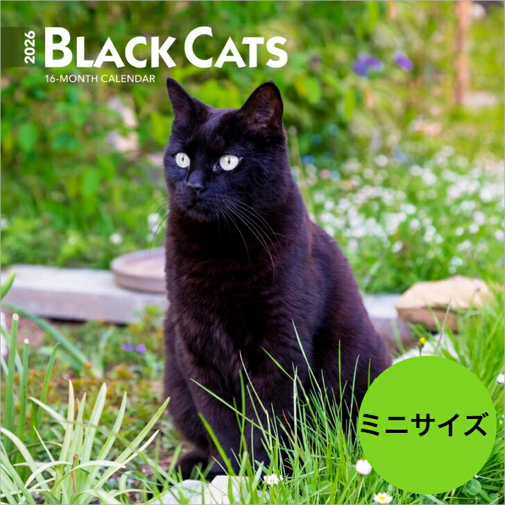 【送料無料】カレンダー ブラックキャット 黒猫 クロネコ 【ミニサイズ/壁掛け】 2026年 令和8年 動物 暦 猫 ネコ ねこ cat CAT ボンベイ ペッ...