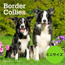【送料無料】カレンダー ボーダーコリー 【ミニサイズ/壁掛け】 ミニタイプ 2026年 令和8年 動物 パピー 暦 ペットカレンダー 犬種カレンダー 犬 いぬ ...