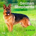 【送料無料】カレンダー ジャーマンシェパード 【ミニサイズ/壁掛け】 2026年 令和8年 暦 動物 パピー ペットカレンダー 犬種カレンダー 犬 いぬ ドッグ...