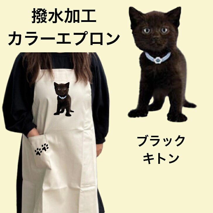 樂天商城 - 【撥水加工 カラーエプロン】ブラックキトン キトン 黒猫 バッククロス X型 たすき掛け 大きめ おしゃれ かわいい トリミング お散歩 保育士 ワークエプロン 料理教室 猫柄 キャット cat 猫 ネコ 動物 オーナーグッズ プリント ギフト 記念品 猫雑貨 オフ会