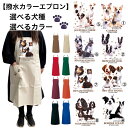 撥水加工 カラーエプロン バッククロス X型 たすき掛け 大きめ おしゃれ かわいい トリミング お散歩 保育士 ワークエプロン 料理教室 選べるカラー 選べる...