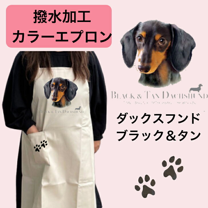 Sommelier Aprons - 【撥水加工 カラーエプロン】ダックスフンド ブラタン バッククロス X型 たすき掛け 大きめ おしゃれ かわいい トリミング お散歩 フラワーショップ ワークエプロン カフェ 犬柄 小型犬 種別 dog オーナーグッズ プリント ギフト 記念品 犬雑貨 オフ会
