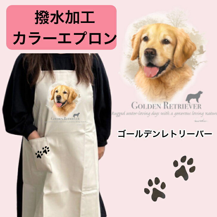 樂天商城 - 撥水加工 カラーエプロン ゴールデンレトリーバー レトリバー バッククロス X型 たすき掛け 大きめ おしゃれ かわいい トリミング お散歩 フラワーショップ ワークエプロン カフェ 犬柄 大型犬 種別 dog オーナーグッズ プリント ギフト 記念品 犬雑貨 オフ会 母の日