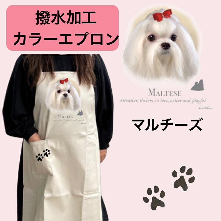 樂天商城 - 【撥水加工 カラーエプロン】マルチーズ バッククロス X型 たすき掛け 大きめ おしゃれ かわいい トリミング お散歩 フラワーショップ ワークエプロン カフェ 犬柄 小型犬 種別 dog オーナーグッズ プリント ギフト 記念品 犬雑貨 オフ会 母の日