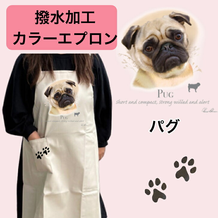 樂天商城 - 【撥水加工 カラーエプロン】パグ バッククロス X型 たすき掛け 大きめ おしゃれ かわいい トリミング お散歩 フラワーショップ ワークエプロン カフェ 犬柄 小型犬 種別 dog オーナーグッズ プリント ギフト 記念品 犬雑貨 オフ会 母の日