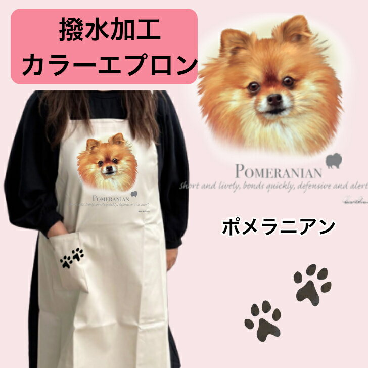 樂天商城 - 【撥水加工 カラーエプロン】ポメラニアン バッククロス X型 たすき掛け 大きめ おしゃれ かわいい トリミング お散歩 フラワーショップ ワークエプロン カフェ 犬柄 小型犬 種別 dog オーナーグッズ プリント ギフト 記念品 犬雑貨 オフ会 母の日