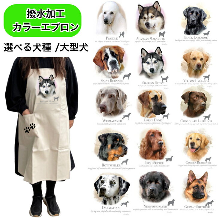 樂天商城 - 【撥水加工 カラーエプロン】大型犬 選べる犬種 バッククロス X型 たすき掛け 大きめ おしゃれ かわいい トリミング お散歩 フラワーショップ ワークエプロン カフェ 犬柄 ポケット足跡 種別 dog オーナーグッズ プリント ギフト 記念品 犬雑貨 オフ会 母の日