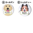 缶バッチ 缶バッジ 花粉症です アレルギーです ぜんそくです ゴールデンレトリーバー ゴールデンレトリバー シェットランドシープドッグ シェルティー 直径54m...