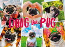 ジグソーパズル パグ パズル 1000ピース Doug the Pug【ウィロー】 WILLOW CREEK PRESS 輸入 犬 ドッグ dog 動物 ペット アニマル ギフト 誕生日 プレゼント グッズ かわいい バレンタインデー