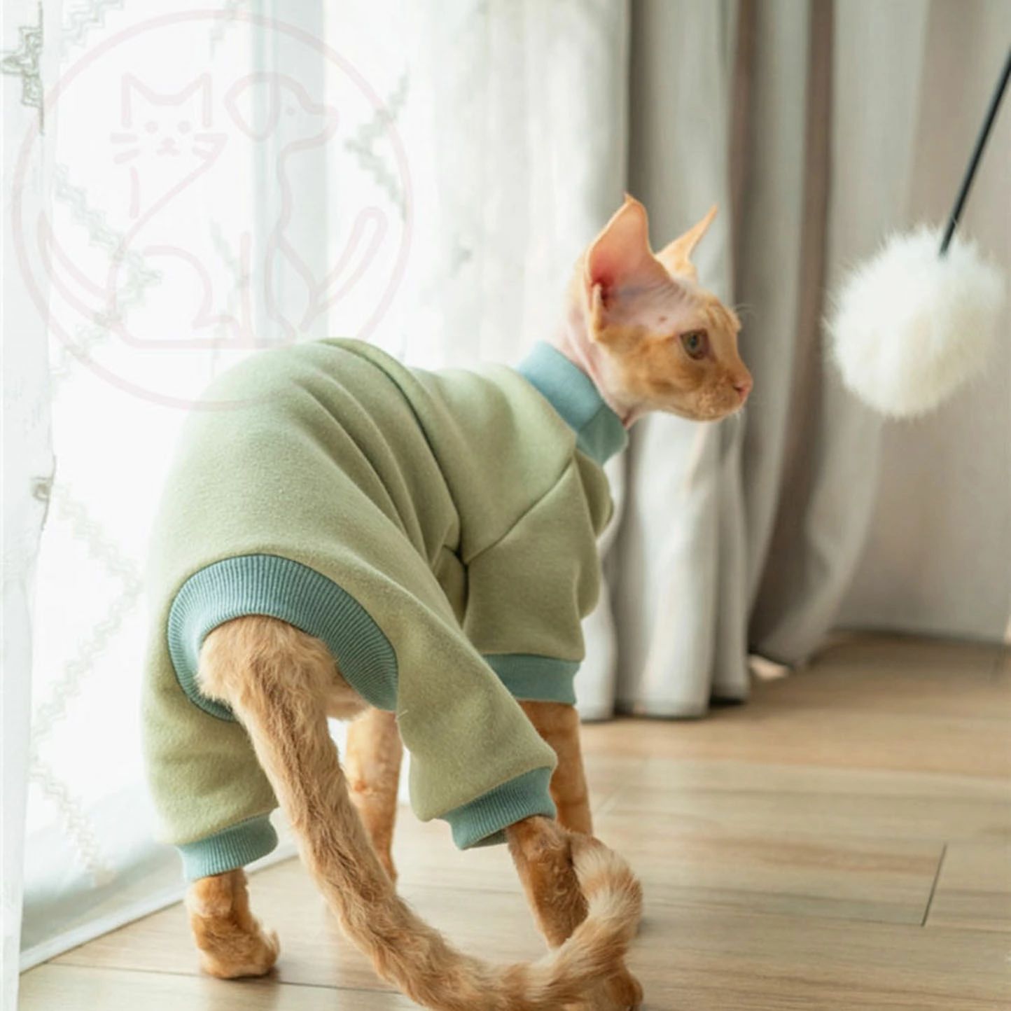 ハロウィン かぼちゃ ペット用品 ペットウェア ペット服 オレンジ リボン 犬 猫 飾り サロン トリマー オススメ パンプキン 帽子 ケープ フリース あったかい 柔らかい 人気 ダックス プードル かわいい 犬の服 秋 冬 プレゼント インスタ パーティ チョーカー SSサイズ 業務用 可愛い コスプレ ウィッグ付き マント ロリータ 貴族 小型犬 ワンピース 洋服 短納期 魔法使い パーティー 女の子 男の子 変身 スパイダー ドッグウェア 夏 送料無料 涼しい 王様 王子様 S M L XL 3点セット カッコイイ おもしろい 仮装 衣装 犬猫 中型犬 大型犬 魔女 変身 おもしろグッズ クリスマス イベント 写真撮影 つなぎ コウモリ パーカー アウター コート XS～XLサイズ ドッグ服 猫服 変身 耳付き 着ぐるみ 撮影 チュールワンピ お化け 猫用 超絶キュン 首輪 ネクタイ バンダナ ガーランド 誕生日 しつけ首輪 痛くない 猫の首輪 着せ替え 襟かざり 首かざり かぶり物 サンタ デニム 服 デニムスカート 小型犬 中型犬 大型犬 Tシャツ フード付き パーカー 裏起毛 オールシーズン ギフト ハンガー 春 夏 秋 冬 定番 おしゃれ 可愛い 柴犬 お洋服 ペットグッズ かわいい お散歩 お出かけ 室内 防風 保温 お揃い 洗える 暖かい ペットベッド ペットソファ クッション マット 滑り止め もこもこ ふかふか 通気性抜群 寝心地いい 破れにくい 四季通用 軽量 脱着簡単 丈夫 安全