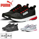 プーマ スニーカー キッズ エボルブ ストリート 389137 02 03 05 PUMA【ラッピング不可】 スポーツ