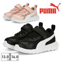 プーマ スニーカー キッズ エボルブ ラン サマー Alternative Closure+ 389692 01 02 PUMA ベビー ファーストシューズ スポーティ ベルクロ メッシュ