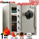 Sentry 耐火金庫 テンキー式 容量約33.6L A4サイズ収納可 1時間耐火 JF123ET ビッグボルトシリーズ 保管庫 メディア耐火 ダブグレー セントリー