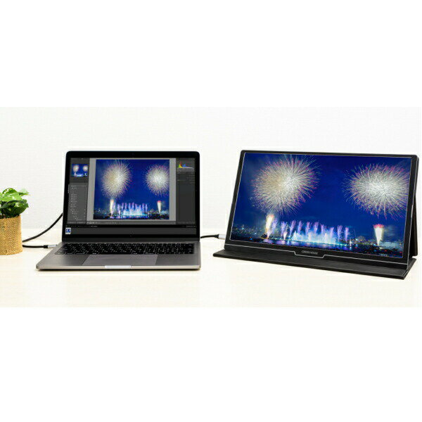 【カバーケース付き】15.6型モバイルディスプレイフルHDグリーンハウスADSパネルmini-HDMIType-C800g厚さ9mmスピーカー搭載ブルーライトカット機能GREENHOUSEGH-LCU16A-BKGH-LCU16AGHLCU16A