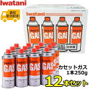 【送料無料】 イワタニ カセットガス 1本250g×12本セット CB-250-OR Iwatani ガスボンベ CB-250-OR-12 CB250OR イワタニカセットガス 12P 12本 250g カセットボンベ アウトドア 屋外 日本製 岩谷 キャンプ アウトドア