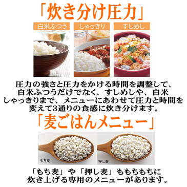 【2020年秋モデル/日本製】内釜3年保証 象印 圧力IH炊飯ジャー 極め炊き 1升炊き 黒まる厚釜 うまみ圧力蒸らし 麦ごはん　白米ふつう、すしめし、白米しゃっきりを選べる クリーニング機能搭載 NP-ZH18-TD ダークブラウン ZOJIRUSHI NPZH18 茶色 (NP-ZU18同等品）