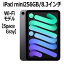 Apple iPad mini 8.3インチ 第6世代 256GB Wi-Fiモデル A15 Bionicチップ Liquid Retinaディスプレイ MK7T3J/A スペースグレイ 新モデル 本体 新品