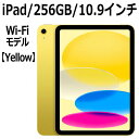 Apple iPad 本体 新品 第10