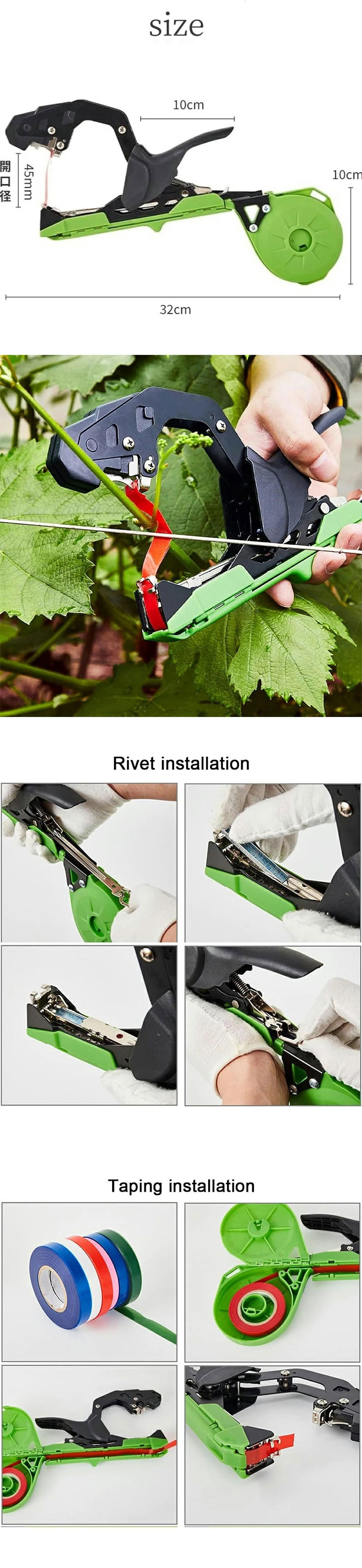 Ͷ����«�� �ڿʲ��� �ۥå��������դ� �ơ���10���դ��ۥơ��ץġ��� ����� Ͷ�� ��«�� �ơ��ץġ��� �ơ��ץʡ� �̼� �ۥå����� Ͷ�� �Ҽ� ���� ���� ��ñ ���� �����ڱ� �̼��ѷ�«��