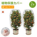 【 2個セット】植物保護カバー 防虫ネット 植物保護袋 野菜網 野菜栽培 園芸用ネット 虫鳥除け網 虫よけカバー 鉢植え用 防鳥ネット DIY 虫鳥除け網 菜園...