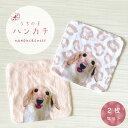 うちの子ハンカチ ミニタオル 写真 名入れ 2枚セット 20×20cm ヒョウ柄 ペット 犬 猫 ハムスター うさぎ うちの子グッズ ペットグッズ 今治タオル ...