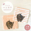 うちの子ハンカチ ミニタオル 写真 名入れ 2枚セット 20×20cm ボーダー柄 ペット 犬 猫 ハムスター うさぎ うちの子グッズ ペットグッズ 今治タオル...