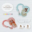 アクリルカラビナ ペット 写真入り 名入れ アクキー うちの子 ペット グッズ